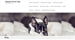 Desktop Screenshot of boston-terrier-tips.com