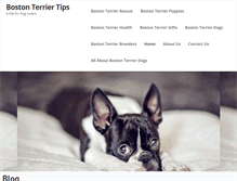 Tablet Screenshot of boston-terrier-tips.com